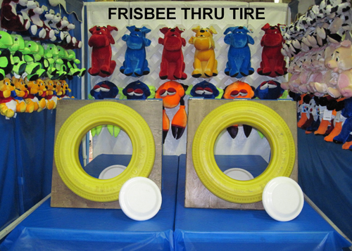 t21_frisbeethrutire